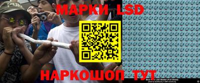 гидра Волгодонск