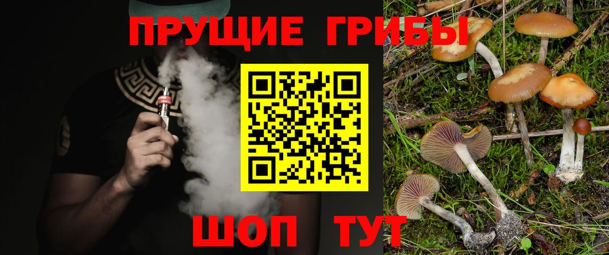 Ртищево  Галлюциногенные грибы MAGIC MUSHROOMS  Вход с VPN 